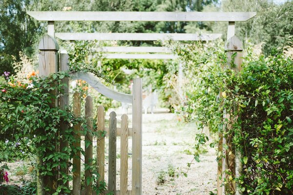 Hölzernes Gartentor, umgeben von Kletterpflanzen, das zu einer begrünten Pergola führt, mit dem Garten im Hintergrund an einem sonnigen Tag.